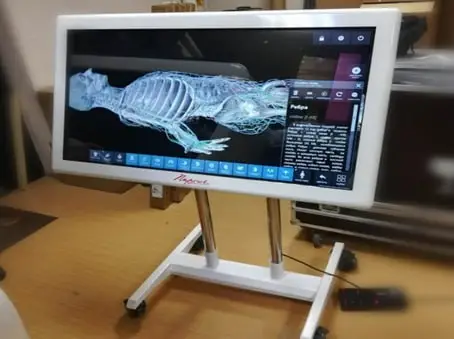 Интерактивная анатомическая стойка, 3D атлас и комплект программ «Пирогов»